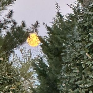 Prada hat shipping label